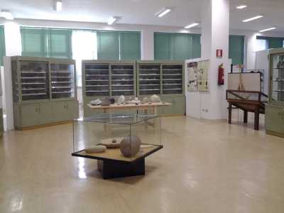 Museo di scienze naturali, settore geopaleontologico: la collezione di marmi dell'antica Roma